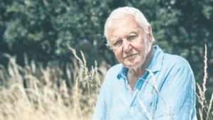 David Attenborough 100. yaşını kutlarken tebrik mesajları yağmur gibi geliyor