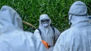 DSÖ, Afrika Ebola salgınında ulusal ve bölgesel riskin yüksek olduğunu açıkladı
