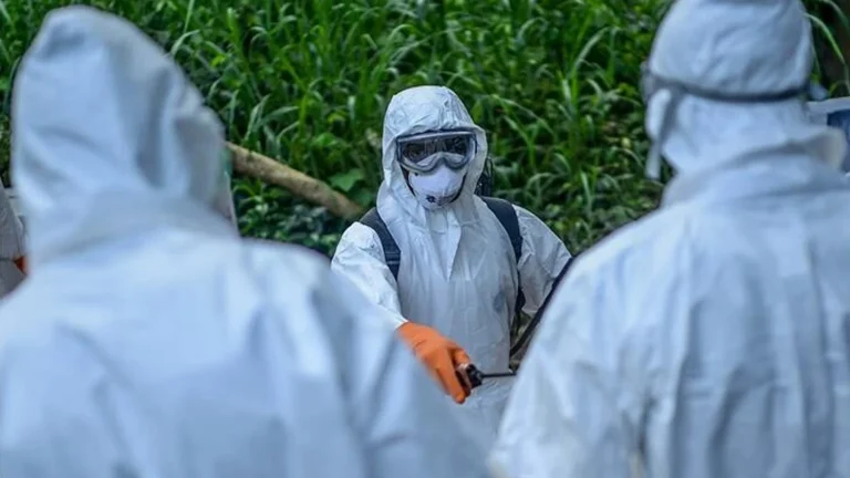 Ebola salgını 4. Hindistan-Afrika Forumu Zirvesi’nin ertelenmesine neden oldu