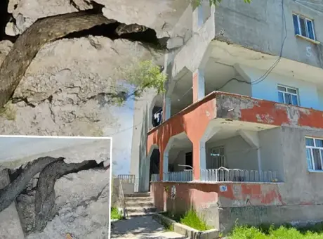 Evi 3 metre uzunluğundaki yılanlar bastı, aile tedirgin günler geçiriyor