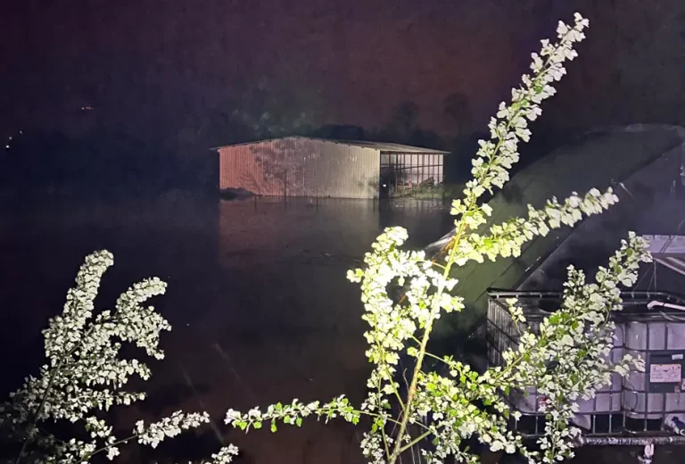 İnegöl’de Taşan Dere Sonrası Mahsur Kalan Çiftçi Botla Kurtarıldı