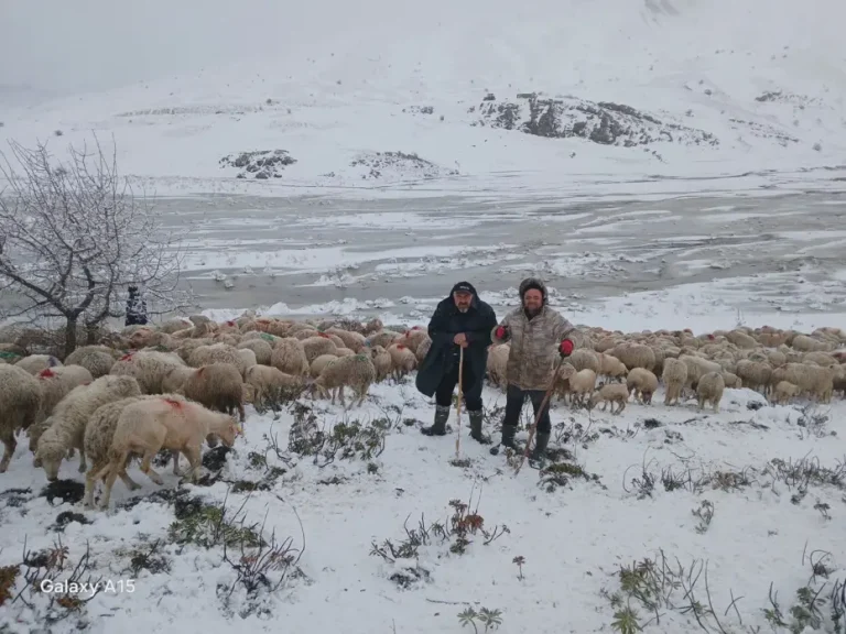 Isparta’da kar ve heyelan mağduru çobanlar ve sürüleri mahsur kaldı