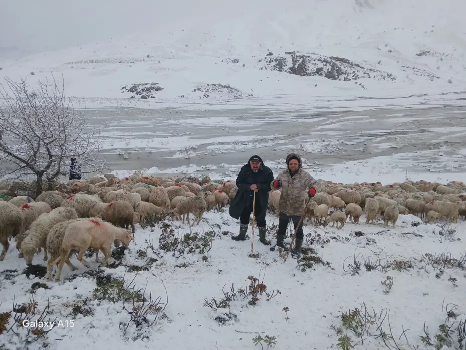 Isparta’da kar ve heyelan mağduru çobanlar ve sürüleri mahsur kaldı