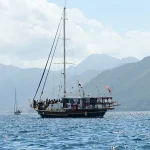 İsrail tarafından alıkonulan aktivistler THY ile Türkiye’ye taşınıyor