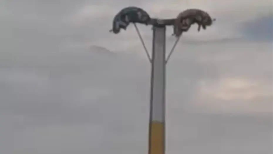 İzmir’de Lunapark Eğlencesi Teknik Arıza Nedeniyle Büyük Panik Yarattı