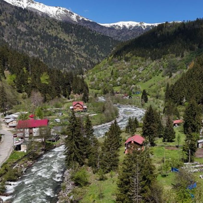 Kaçkar Dağları’nın büyüleyici yaylalarında bahar çiçekleri açtı