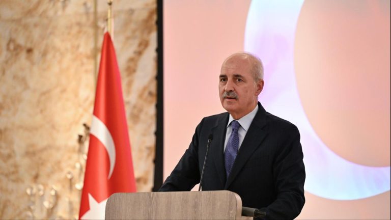 Kahramanmaraş’taki Saldırıda Yaralanan Almina Ağaoğlu Hayatını Kaybetti
