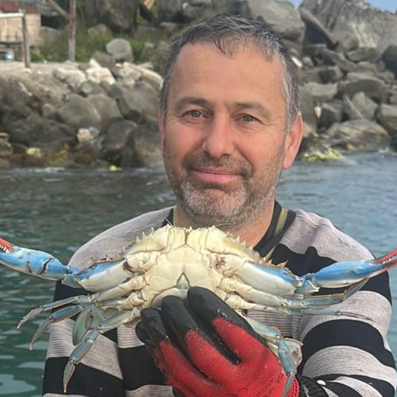 Karadeniz’de ender görülen mavi yengeç Sinoplu balıkçıların yüzünü güldürdü