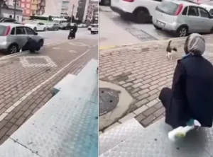 Karamürsel’de market çalışanı kadının sokak kedisine işkencesi tepkilere yol açtı
