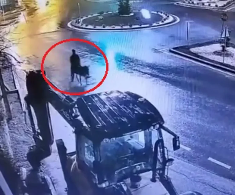 Kayseri’de altın hırsızlığı yapan Mehmet Ç., 9 yıl 7 ay hapis cezası aldı