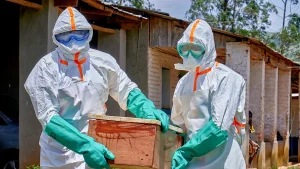 Kongo’da Nadir Ebola Varyantı Krizi Patlak Verdi, Uluslararası Toplum Harekete Geçmeli