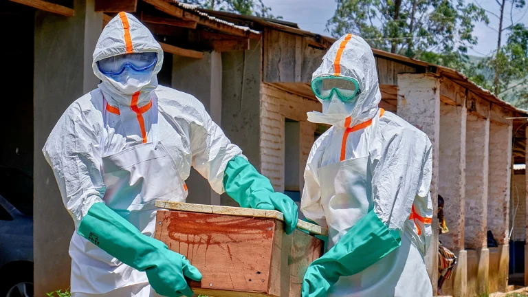 Kongo’da Nadir Ebola Varyantı Krizi Patlak Verdi, Uluslararası Toplum Harekete Geçmeli