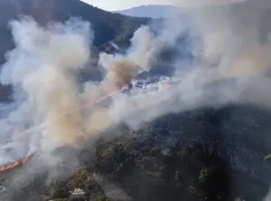 Muğla Marmaris’te Bozburun ve Selimiye arasında orman yangını hızla yayıldı