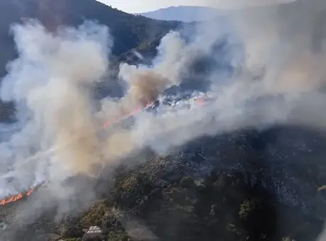 Muğla Marmaris’te Bozburun ve Selimiye arasında orman yangını hızla yayıldı