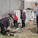 Muş Hasköy’de 3 Metrelik Yılan Panik Yarattı, Belediye Ekipleri Seferber Oldu