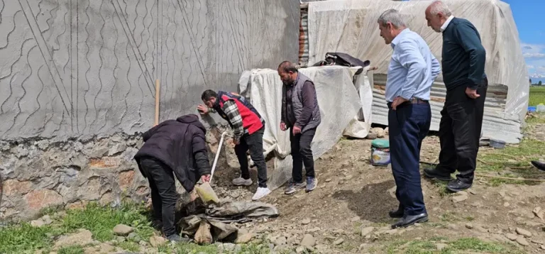 Muş Hasköy’de 3 Metrelik Yılan Panik Yarattı, Belediye Ekipleri Seferber Oldu
