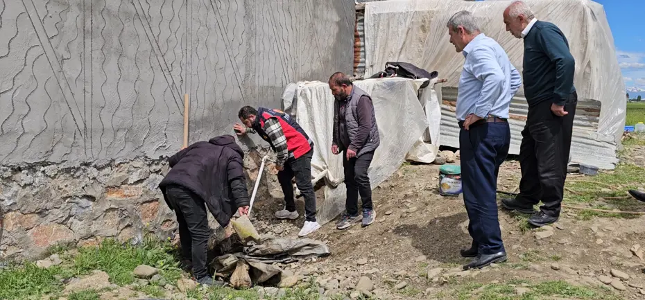 Muş Hasköy’de 3 Metrelik Yılan Panik Yarattı, Belediye Ekipleri Seferber Oldu
