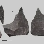 Neandertallerin diş tedavisi sırları 59 bin yıllık keşifle aydınlanıyor