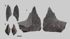 Neandertallerin diş tedavisi sırları 59 bin yıllık keşifle aydınlanıyor
