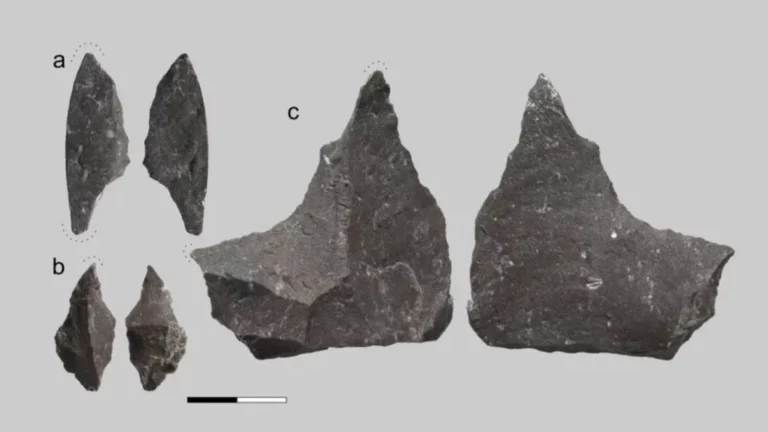 Neandertallerin diş tedavisi sırları 59 bin yıllık keşifle aydınlanıyor