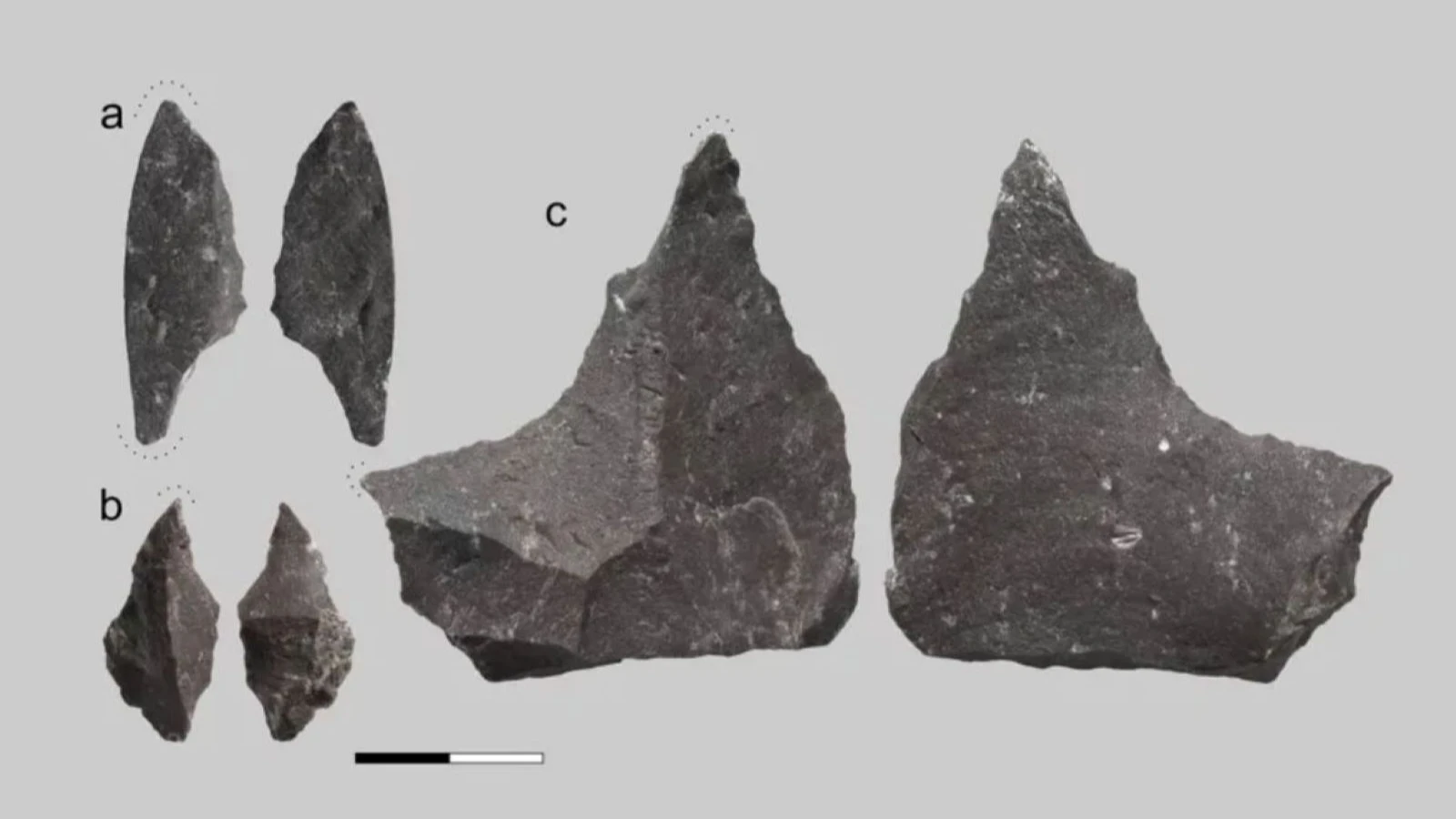 Neandertallerin diş tedavisi sırları 59 bin yıllık keşifle aydınlanıyor