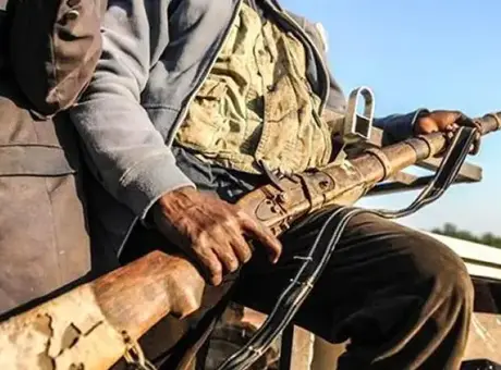Nijerya ordusu son operasyonlarla 317 terörist ve çete üyesini etkisiz hale getirdi