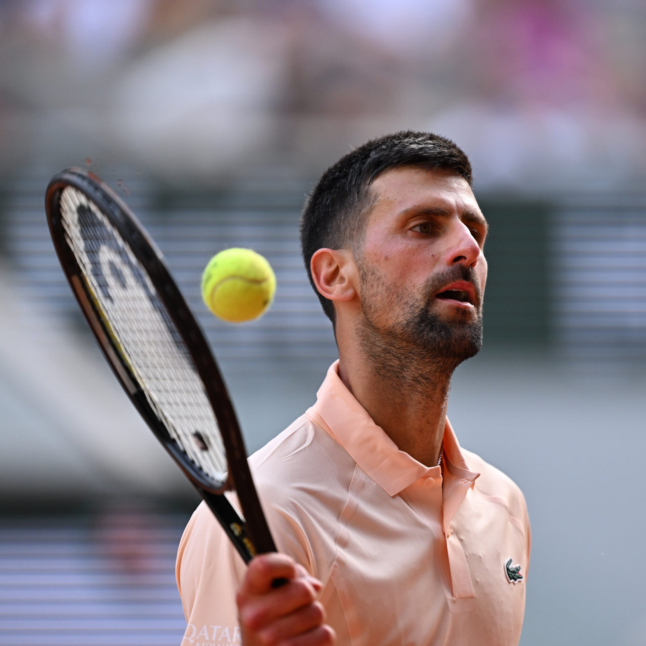 Novak Djokovic, Fransa Açık’ta Joao Fonseca’ya karşı sürpriz şekilde elendi