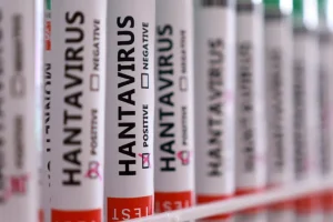 Sağlık Bakanlığı hantavirüs iddialarını yalanladı, Türkiye’de vaka yok