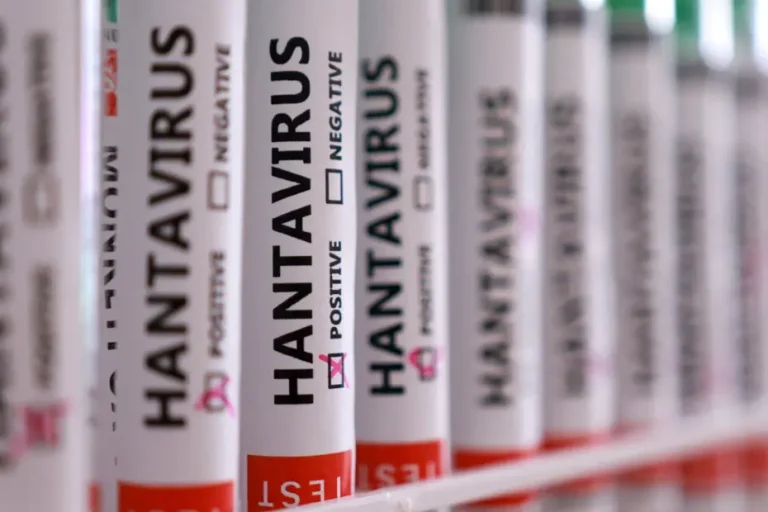 Sağlık Bakanlığı hantavirüs iddialarını yalanladı, Türkiye’de vaka yok