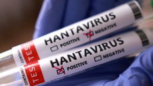 Sağlık Bakanlığı hantavirüs vakalarının bilimsel takibi konusunda uyardı