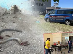 Şanlıurfa’nın Siverek ilçesinde yılanı vurmak isteyen adam kazara beş kişiyi yaraladı