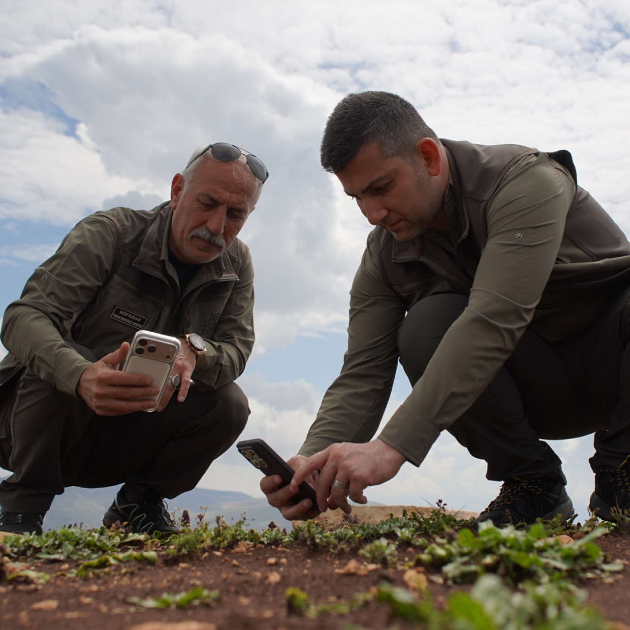 Siirt’te koruma altındaki Şirvan ve Dicle sümbülleri doğaseverlerin ilgisini çekiyor