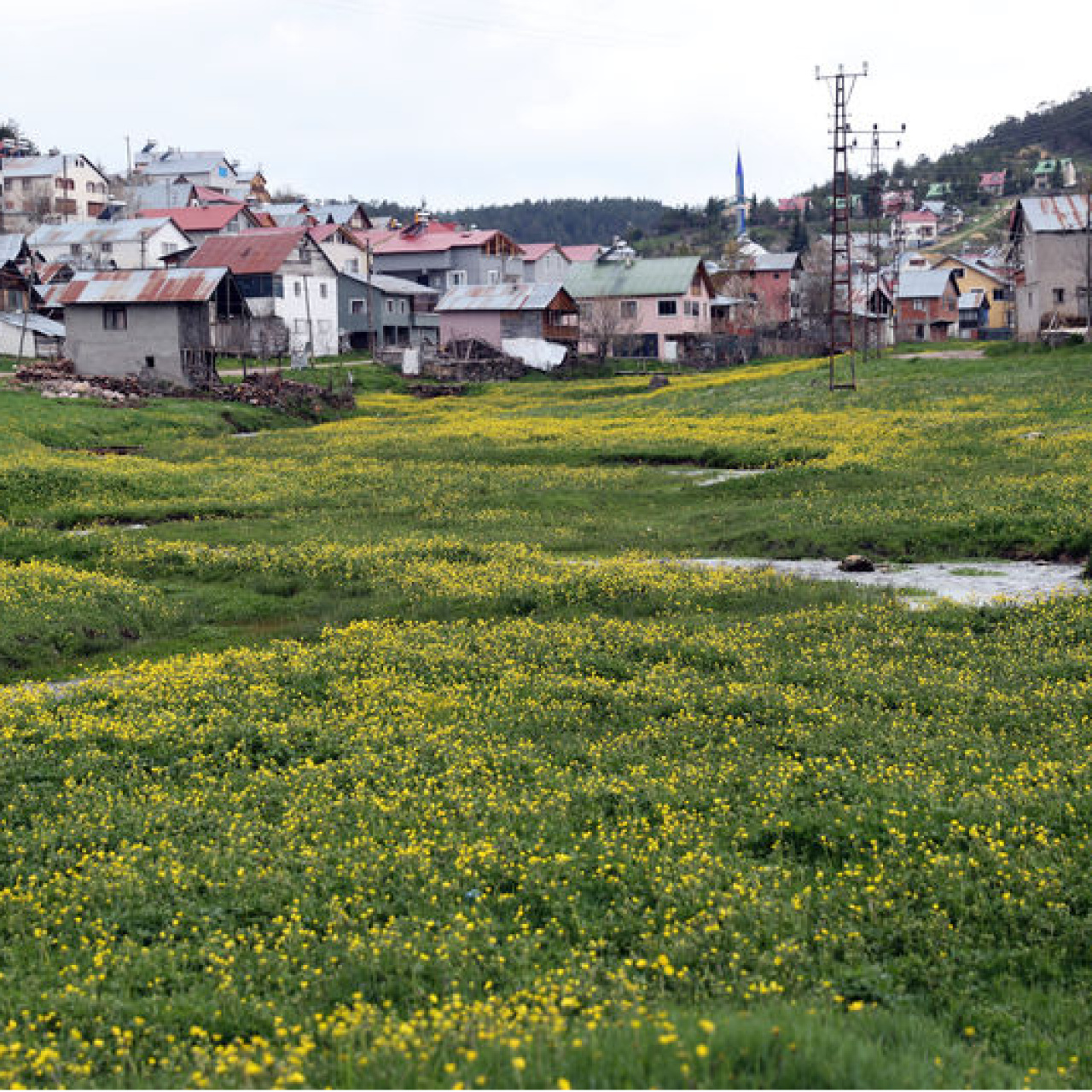 Sivas Eğriçimen Yaylası’nın büyüleyici manzarası