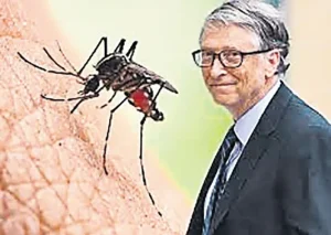 Sosyal Medyada Yaygınlaşan Bill Gates ve Sivrisinek İstilası İddiası Korkutuyor