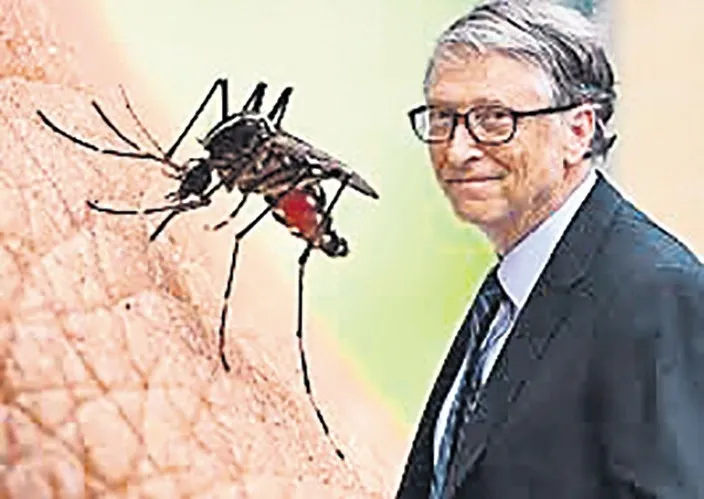 Bill Gates ve sivrisinek istilası iddiası korkutuyor