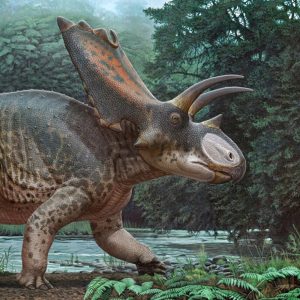 Tayland’da 27 tonluk uzun boyunlu dev dinozor türünün fosilleri bulundu