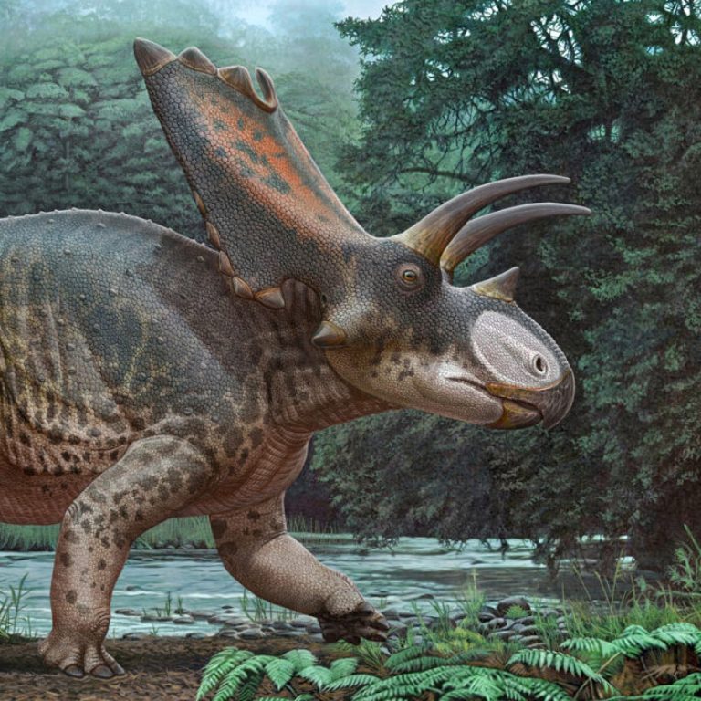 Tayland’da 27 tonluk uzun boyunlu dev dinozor türünün fosilleri bulundu