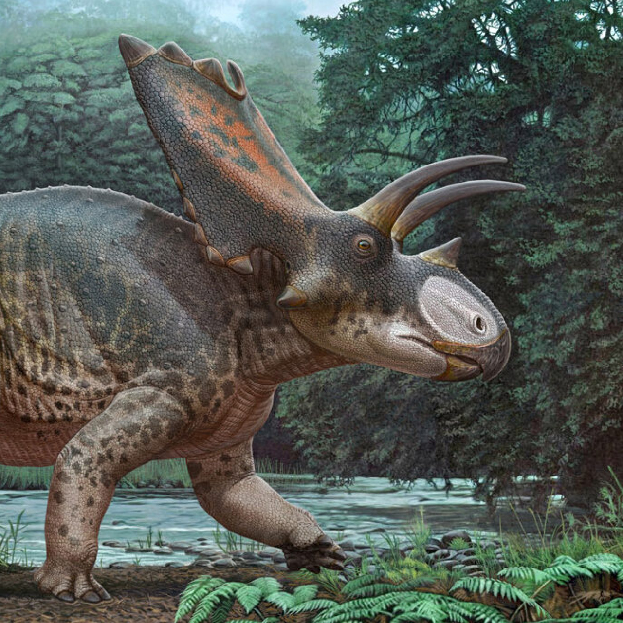 Tayland’da 27 tonluk uzun boyunlu dev dinozor türünün fosilleri bulundu