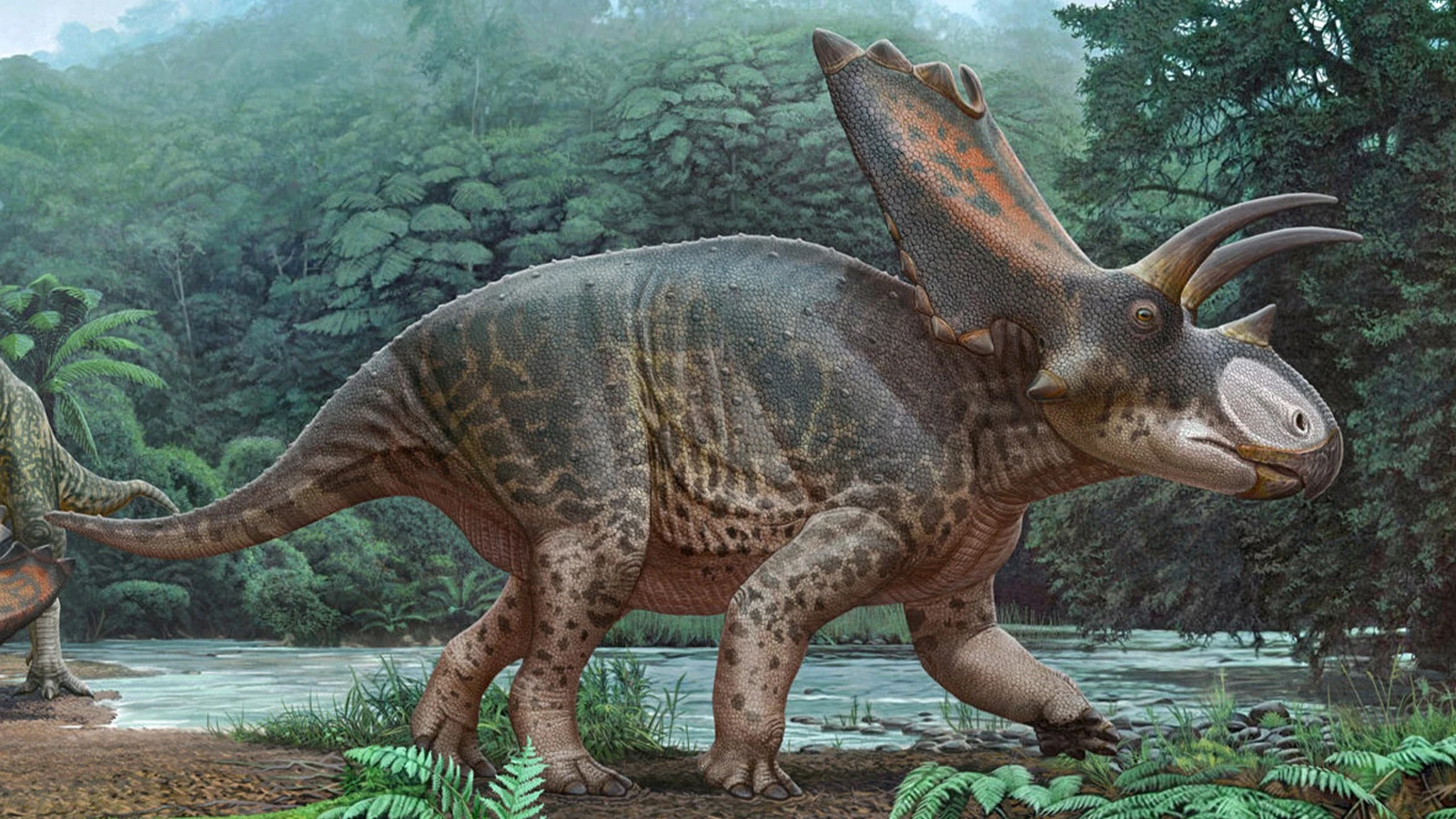 Tayland’da 27 tonluk yeni dinozor türünün fosilleri keşfedildi