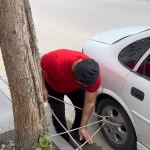 Tokat’ta sağanak yağışa karşı araçlar ağaçlara bağlanarak korunmaya çalışıldı
