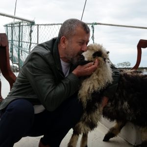 Trabzonlu Restoran Sahibi Ercan Yıldırım’ın Kuzusu Abbas Sokakların Yeni Maskotu Oldu