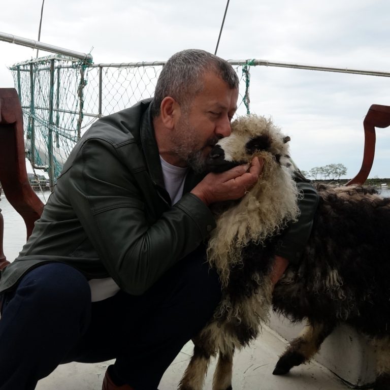 Trabzonlu Restoran Sahibi Ercan Yıldırım’ın Kuzusu Abbas Sokakların Yeni Maskotu Oldu