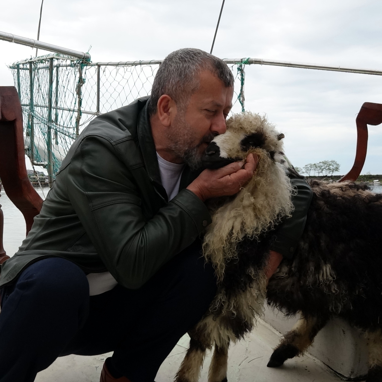 Trabzonlu Restoran Sahibi Ercan Yıldırım’ın Kuzusu Abbas Sokakların Yeni Maskotu Oldu