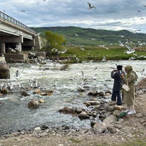 Van Gölü’nde inci kefallerinin göçü büyüleyici manzaralar oluşturuyor