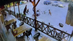 Afyonkarahisar’da dinlenme tesisinde köpek saldırısında dehşet dolu anlar yaşandı