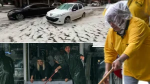 Ankara ve Afyonkarahisar’da dolu yağışı tarım alanlarına ciddi zarar verdi