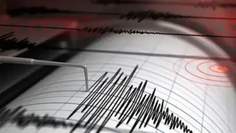 Balıkesir Sındırgı’da 4 büyüklüğündeki deprem paniğe yol açtı