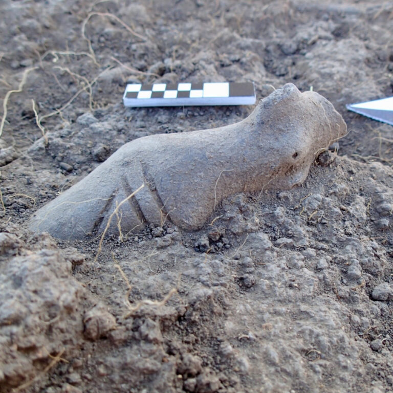 Eskişehir’deki Kanlıtaş Höyüğü’nde Neolitik Dönem Ritüellerine Ait Heykelcikler Bulundu