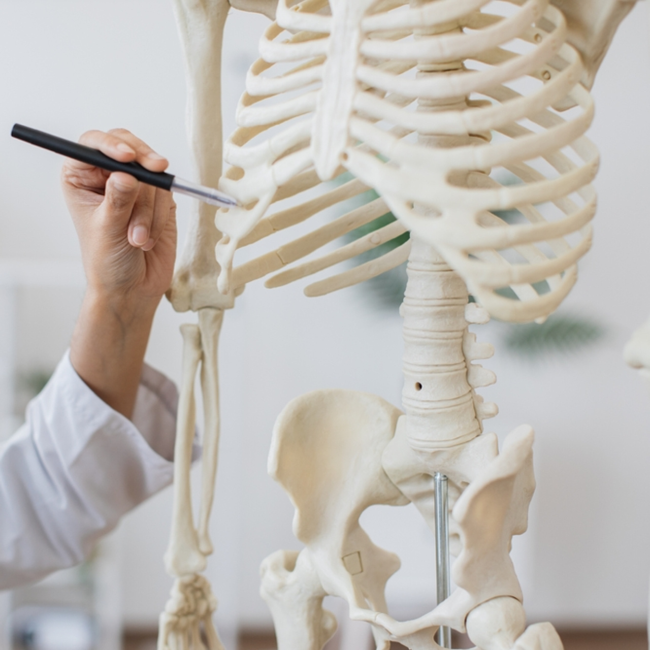 Fibrodisplazi Ossifikans Progresiva hastalığı vücutta ikinci iskelet oluşturuyor