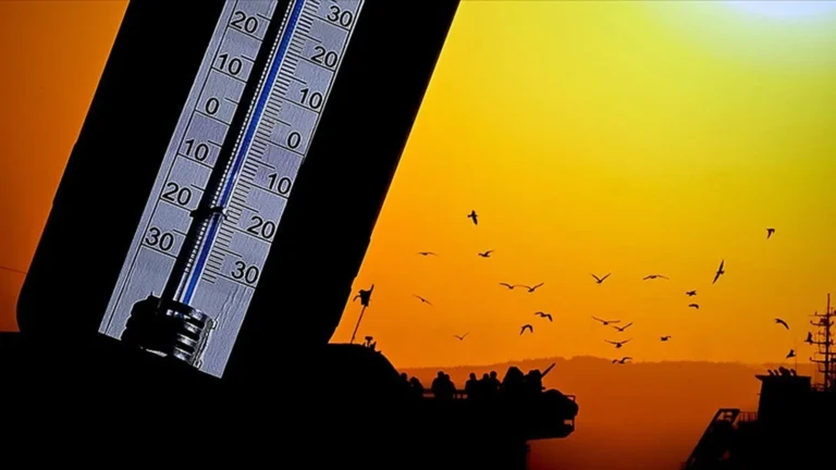 Fransa’da aşırı sıcaklar nedeniyle arabada unutulan iki çocuk hayatını kaybetti